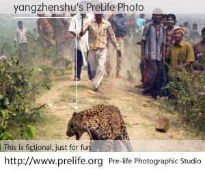 yangzhenshu's PreLife Photo