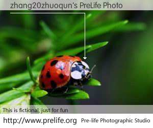 zhang20zhuoqun's PreLife Photo
