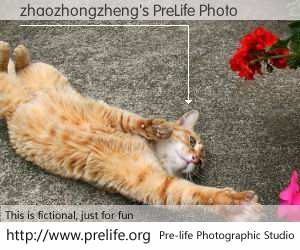 zhaozhongzheng's PreLife Photo