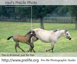 raul's PreLife Photo