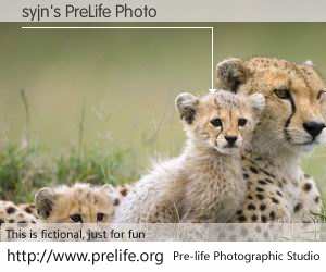 syjn's PreLife Photo