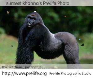 sumeet khanna's PreLife Photo