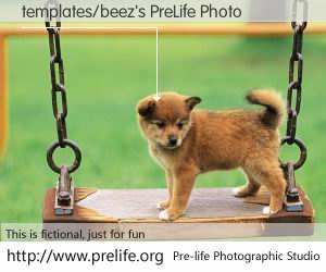 templates/beez's PreLife Photo