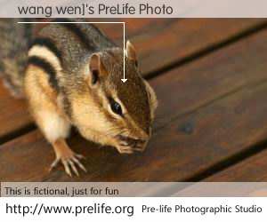 wang wen]'s PreLife Photo