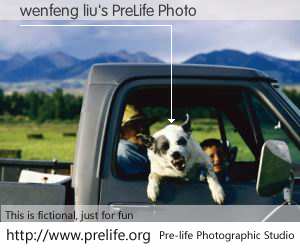 wenfeng liu's PreLife Photo
