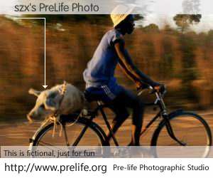 szx's PreLife Photo