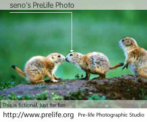 seno's PreLife Photo
