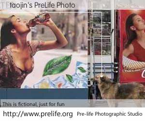 taojin's PreLife Photo