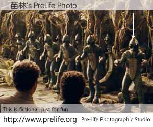 苗林's PreLife Photo