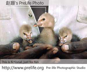 赵姗's PreLife Photo