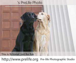 �Ӽ�'s PreLife Photo