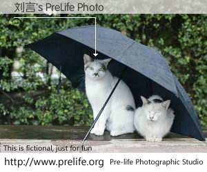 刘言's PreLife Photo