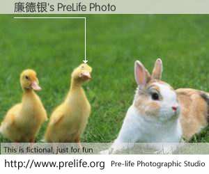 廉德银's PreLife Photo