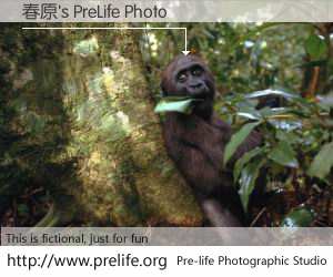 春原's PreLife Photo