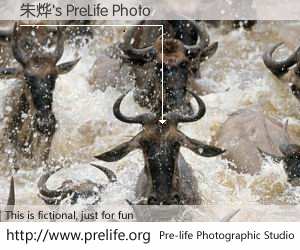 朱烨's PreLife Photo