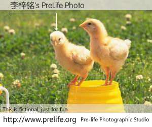 李梓铭's PreLife Photo