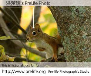 洪梦婕's PreLife Photo