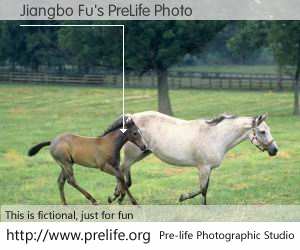 Jiangbo Fu's PreLife Photo