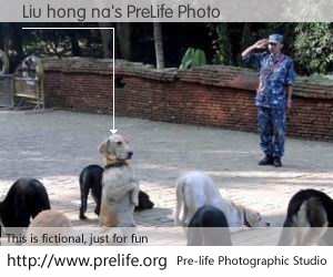 Liu hong na's PreLife Photo