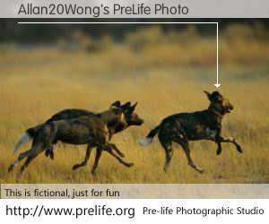 Allan20Wong's PreLife Photo