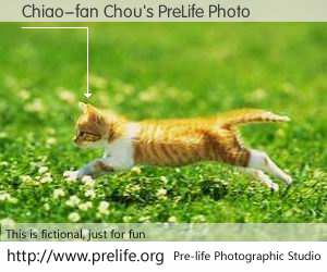 Chiao-fan Chou's PreLife Photo