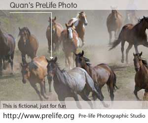 Quan's PreLife Photo