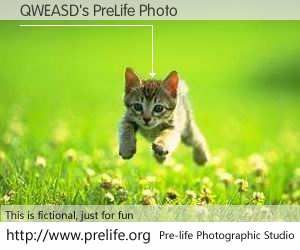 QWEASD's PreLife Photo