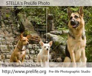 STELLA's PreLife Photo