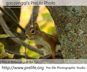 gaozengqi's PreLife Photo