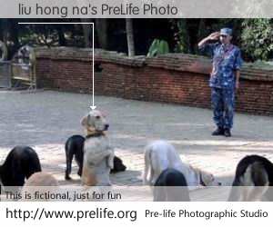 liu hong na's PreLife Photo