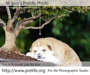 lili guo's PreLife Photo