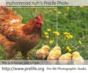 muhammad nuh's PreLife Photo