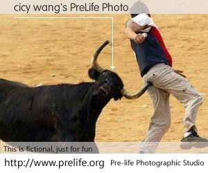 cicy wang's PreLife Photo