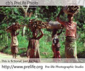 cb's PreLife Photo