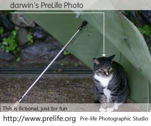 darwin's PreLife Photo