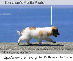 fion chan's PreLife Photo