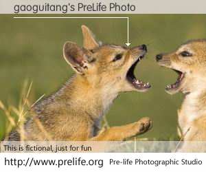 gaoguitang's PreLife Photo