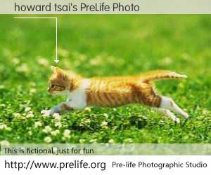 howard tsai's PreLife Photo