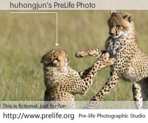 huhongjun's PreLife Photo