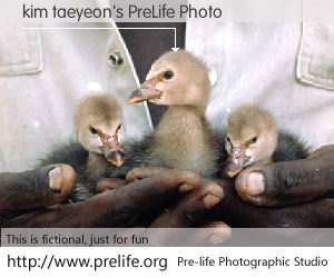 kim taeyeon's PreLife Photo