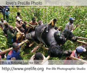 love's PreLife Photo