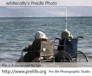 whitecatty's PreLife Photo