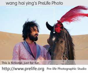 wang hai ying's PreLife Photo
