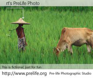 rt's PreLife Photo