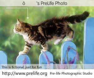 's PreLife Photo