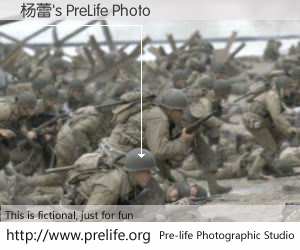 杨蕾's PreLife Photo