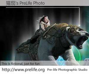 猫茄's PreLife Photo