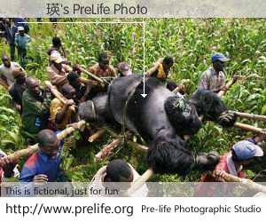 藍潔瑛's PreLife Photo