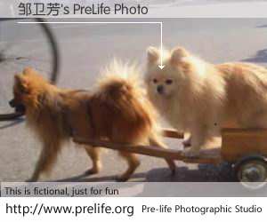 邹卫芳's PreLife Photo