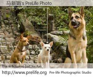 马新娟's PreLife Photo